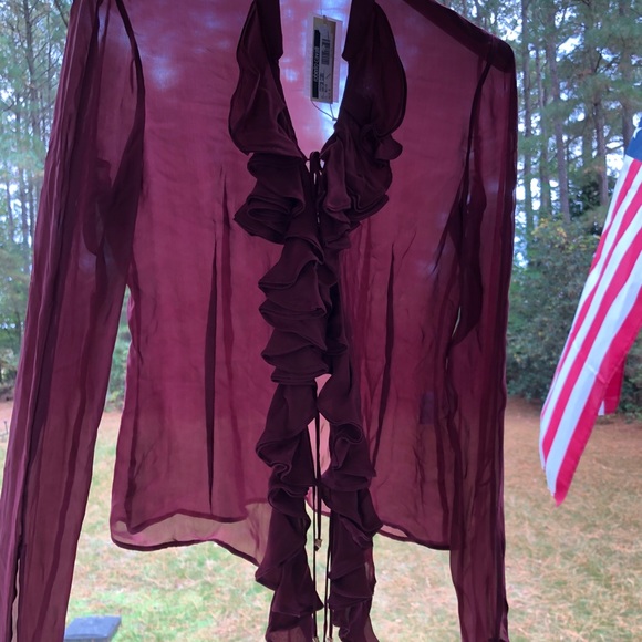 Vintage Roberto Cavalli 100% Silk Blouse-Sheer Burgundy-Made in Italy - Picture 6 of 10